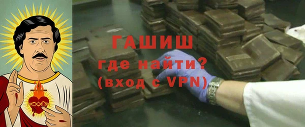 индика Бородино