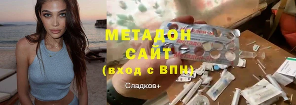 индика Бородино