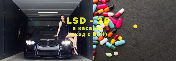 стаф Богданович