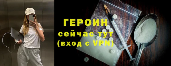 индика Бородино