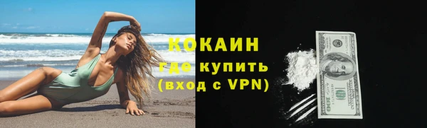 индика Бородино