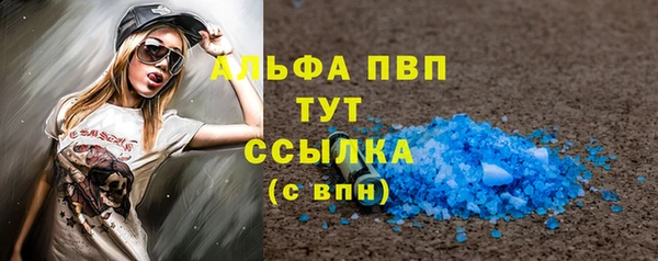 индика Бородино