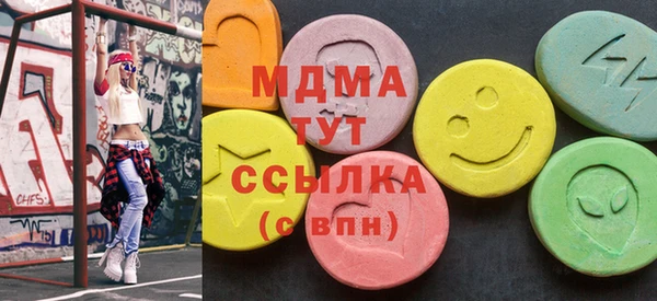 индика Бородино