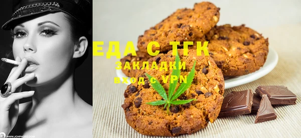 индика Бородино