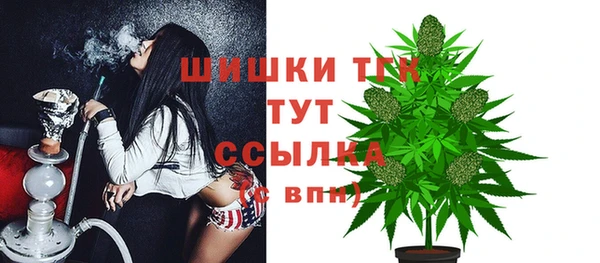 индика Бородино