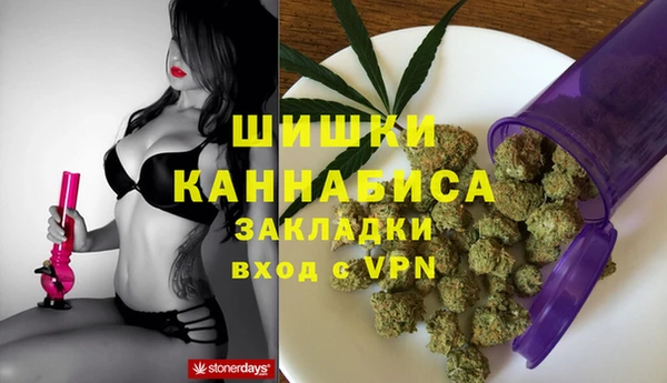 индика Бородино