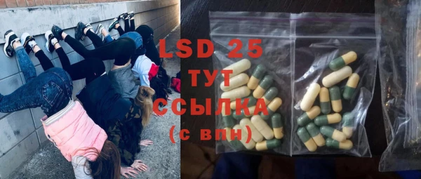 стаф Богданович