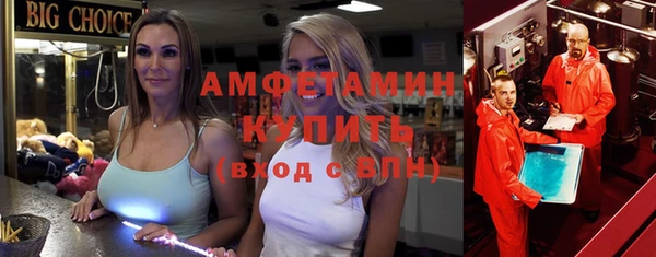 индика Бородино