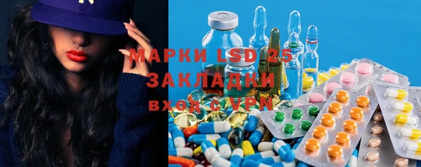 стаф Богданович