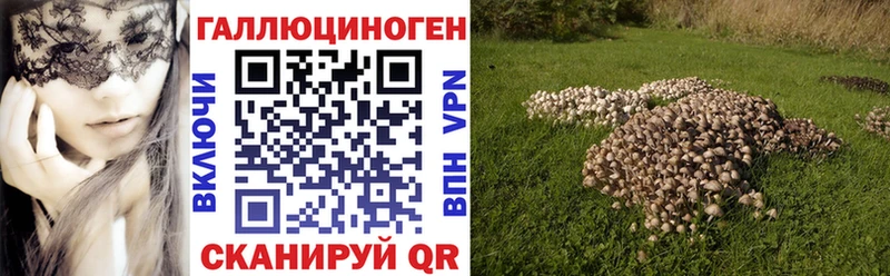 Купить где  Белоозёрский  Галлюциногенные грибы MAGIC MUSHROOMS 