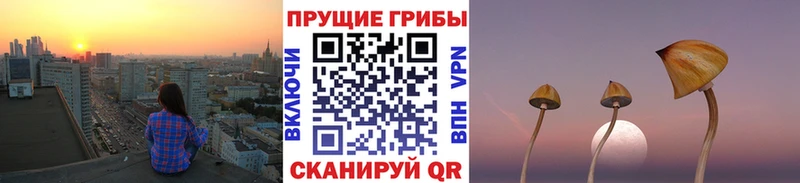 Псилоцибиновые грибы GOLDEN TEACHER Белоозёрский
